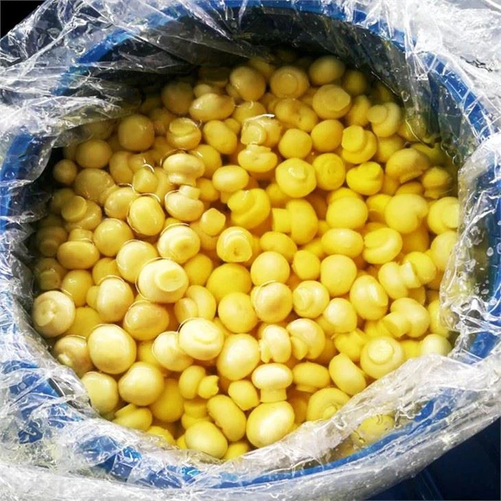 Mushroom Agaricus In Conserve (2)