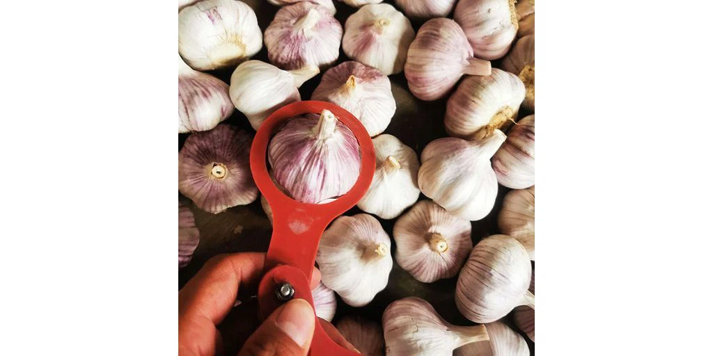 Hány gomba értékesítik