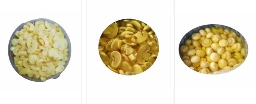 A sózott gomba sózási módja