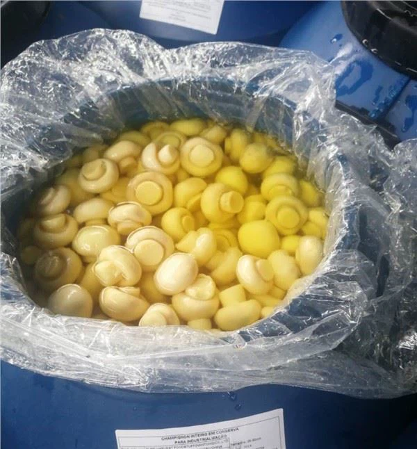 A sós lében lévő gombák könnyen felszívják a többi ízt?