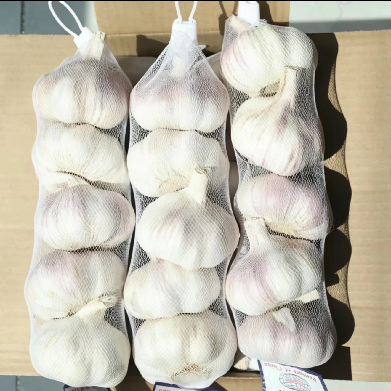 New Crop Chinese Fresh Garlic in Bulk suppliers