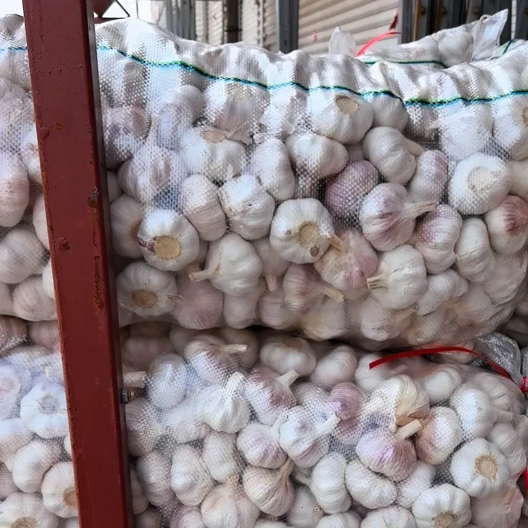 New Crop Chinese Fresh Garlic in Bulk factory